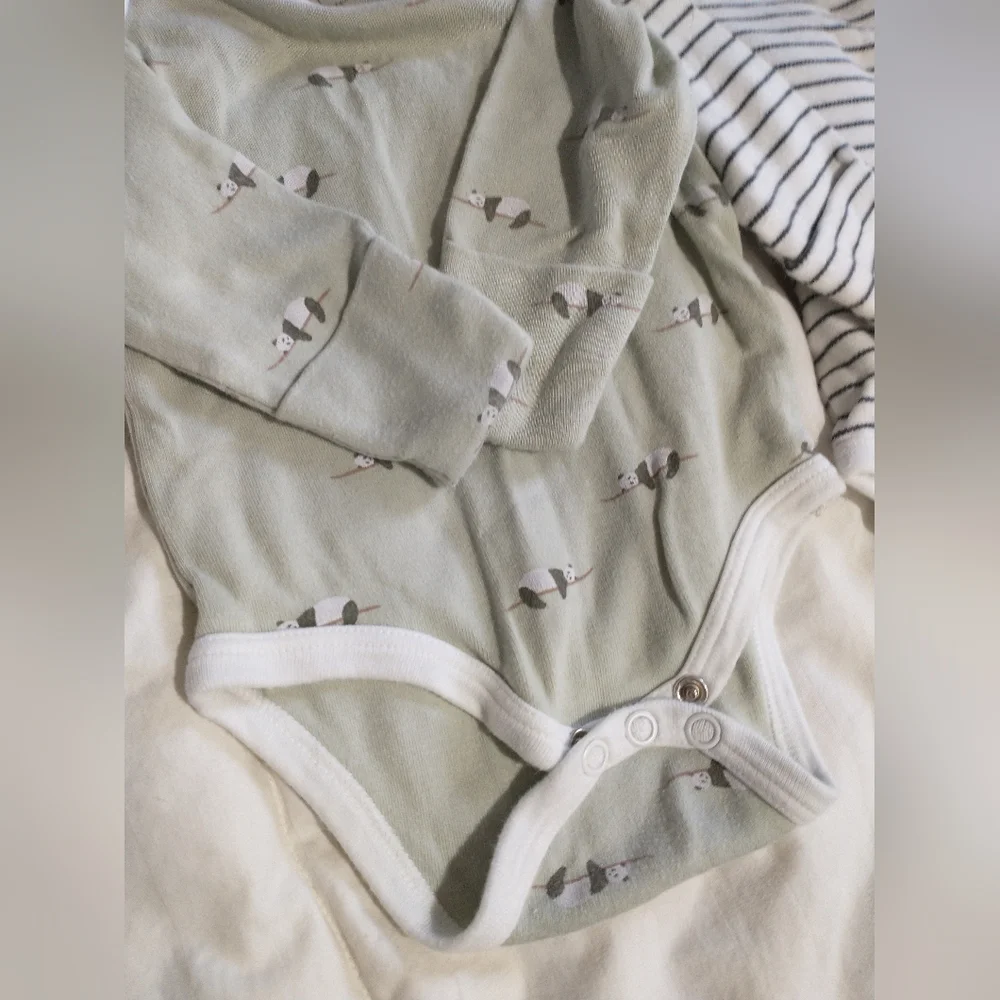 Baby Long-Sleeve Bodysuit Set - Sage Panda & Navy Stripe